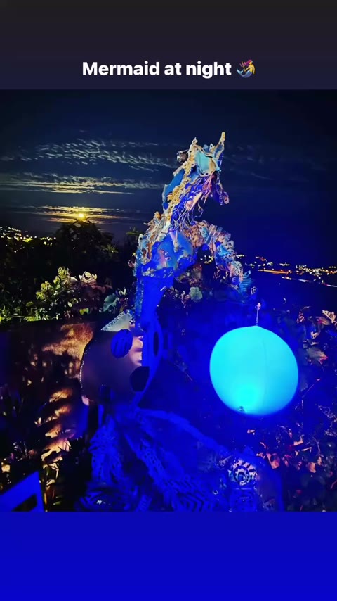 🐞🧜‍♀️